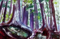 3637 – Firmly Rooted – Enchanted Forest#1