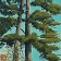 3802 – Twin Pines at Bass Rock
