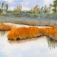 3582 – Autumn Reflection #1