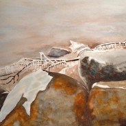 3583 – Frozen Shoreline