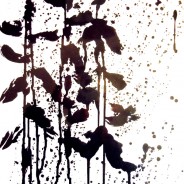 2011-12  Gathering in Winter