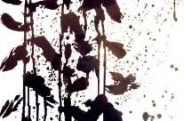 2011-12  Gathering in Winter