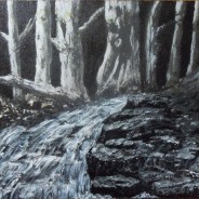 3560 – Moonlit Woods