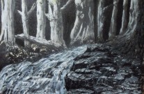 3560 – Moonlit Woods