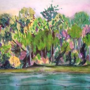 3567 – Muskoka River at Bracebridge Falls, #1