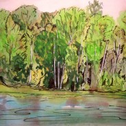 3568 – Muskoka River by Bracebridge Falls, #2