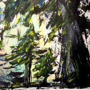 3581- Mother Trees #1 –  Sheltered from the Storm