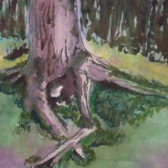 3574 – Tree at Rest