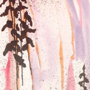 3563 – Vision Quest