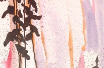 3563 – Vision Quest