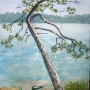 2013-1 Liz’s Woodpeckered Pine, Lake Muskoka