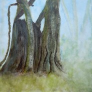 3599 – Guardians of the Forest