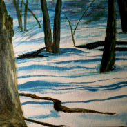 3596 – Woods in Winter