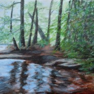 2013-16 Reflecting Pool Upstream from Wilson Falls