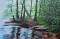 2013-16 Reflecting Pool Upstream from Wilson Falls