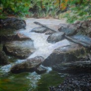 3615 – Beaver Creek on Covered Bridge Trail