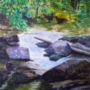 3616 – Beaver Creek on Covered Bridge Trail
