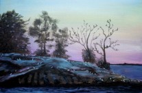 2013-25 Bird Island, Lake Muskoka