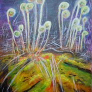 2013-26 Fun with Fiddleheads