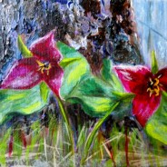 2013-27 Trillium Twosome