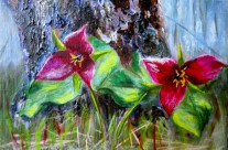 2013-27 Trillium Twosome