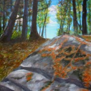 2013-28 Muskoka Rocks & Pine Needles #1