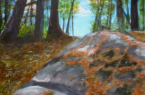 2013-28 Muskoka Rocks & Pine Needles #1