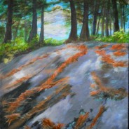 2013-29 Muskoka Rocks & Pine Needles #2