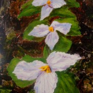 2013 – 32 Trillium Trio