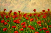 2013-37  Field of Poppies #1