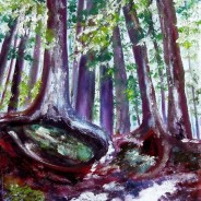 3637 – Firmly Rooted – Enchanted Forest#1
