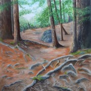 3641 – Firmly Rooted – Woven Path