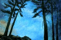 2014-5  Firmly Rooted – Stay Rooted While Reaching for the Stars