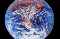 2014-6  Firmly Rooted: Mother Earth – Africa – Our Shared Roots