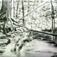 3647 – Firmly Rooted – Watchman