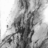 2014-12  Firmly Rooted – Cascade