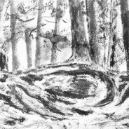 3646 – Firmly Rooted – Contentment