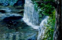 3655 – Hidden Falls