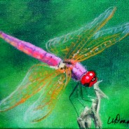 2014-20 Dragonfly #3