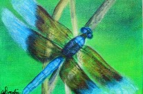 2014-21 Dragonfly #4
