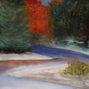 2013-11  Maple Ablaze