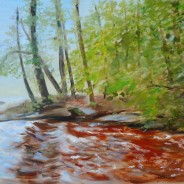 3677 – Reflecting Pool #2