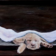 3679 – Puppy Love – The Only Love that Comes Between Us