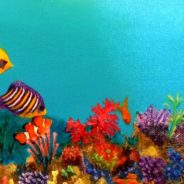 3717 – Plenty of Fish