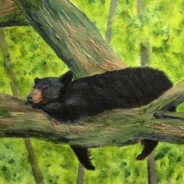 3720 – Perfect Place for a Nap