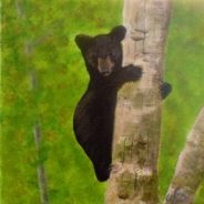 3721 – Tree Hugger