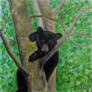 3722 – It’s A Long Way Down