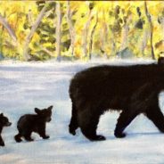3713 – Bear Patrol