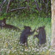 3726 Playtime in Queen Anne’s Lace