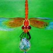 3727 – Dragonfly #9 – Common Pond Dragonfly